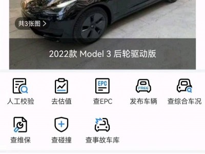 重庆22年特斯拉MODEL 3中型车